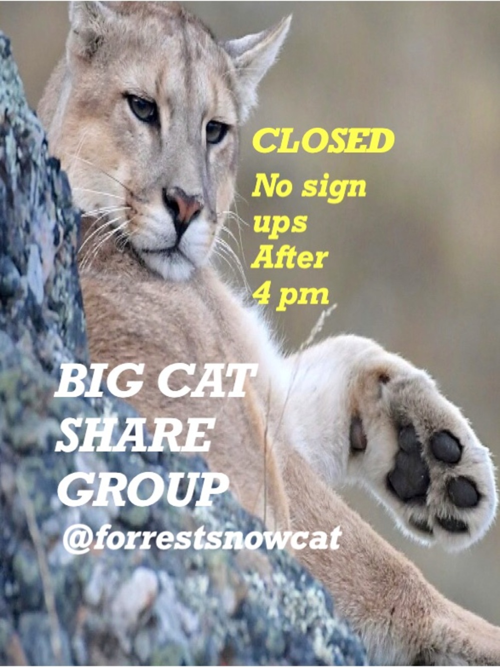 BIG CAT SHARE GROUP    WEDNESDAY 8/12 CLOSED
